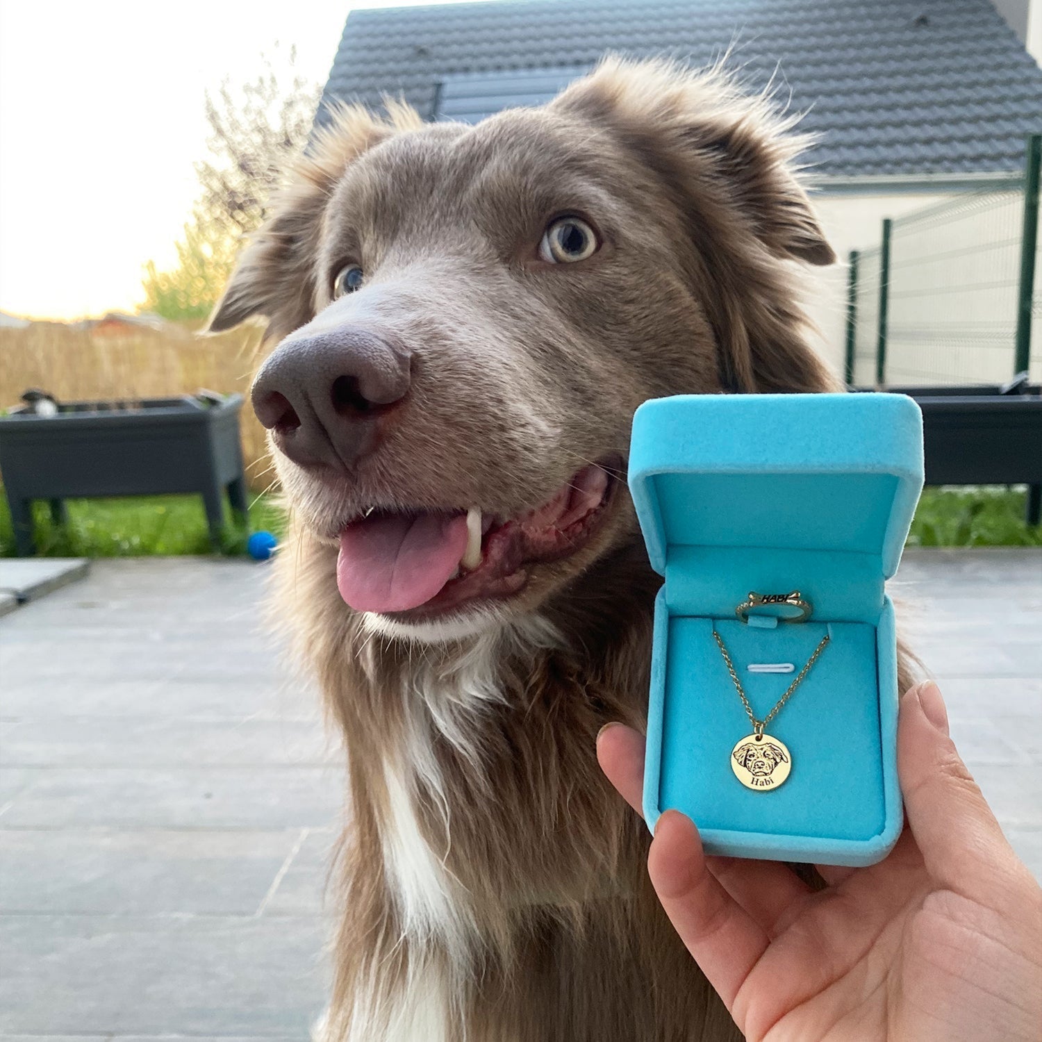 ETERNAL PAW – COLLAR PERSONALIZABLE