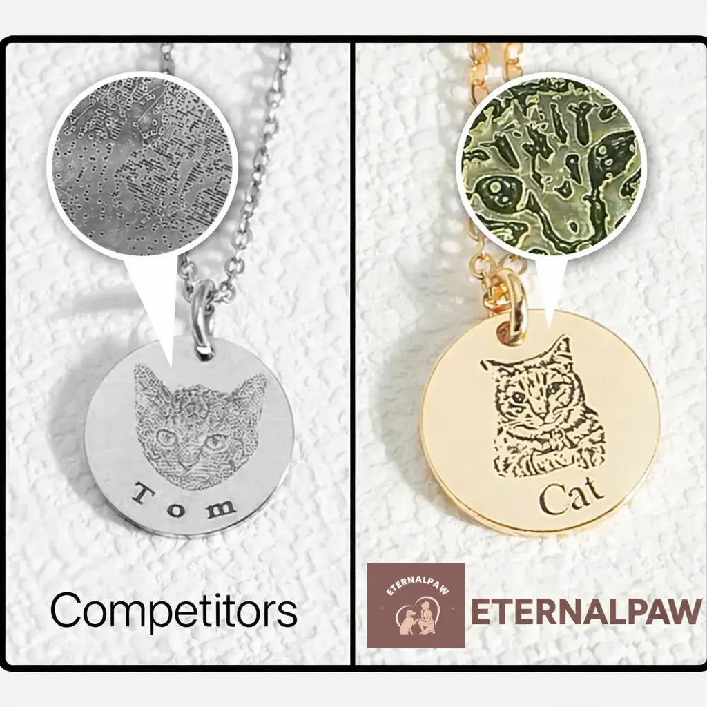 ETERNAL PAW – Un amor que nunca se va